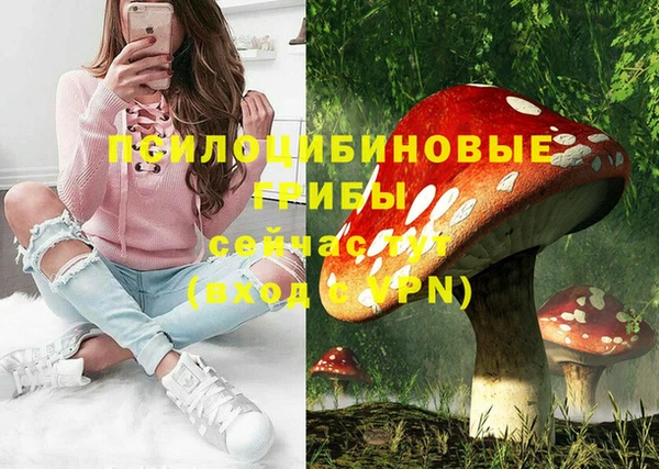 прущие грибы Кинешма