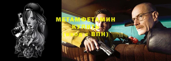 прущие грибы Кинешма