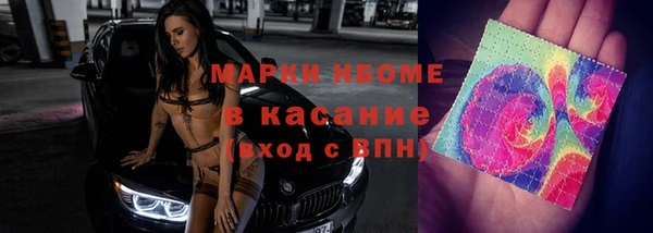 прущие грибы Кинешма