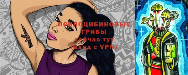 хмурый Киреевск