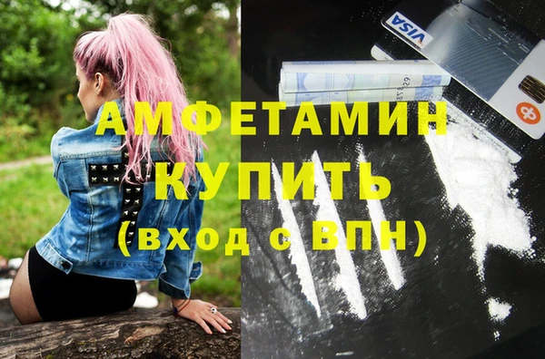прущие грибы Кинешма