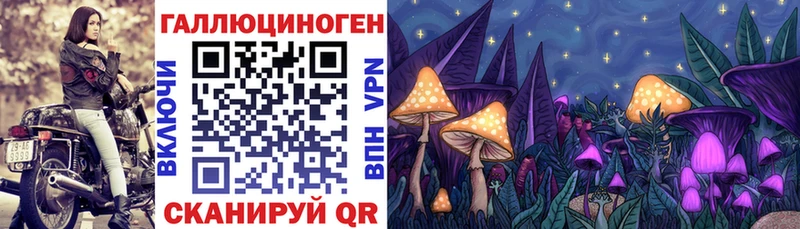 что такое наркотик  MEGA ССЫЛКА  сайты даркнета какой сайт  Сухой Лог  Галлюциногенные грибы Magic Shrooms 