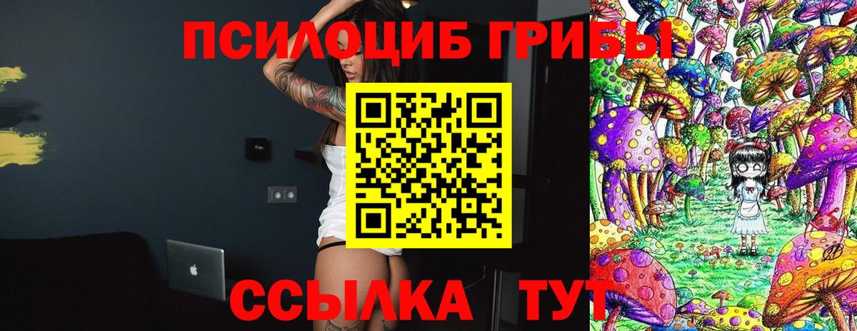 закладка  Галлюциногенные грибы GOLDEN TEACHER  Галлюциногенные грибы мухоморы  Вход с VPN  Сухой Лог 